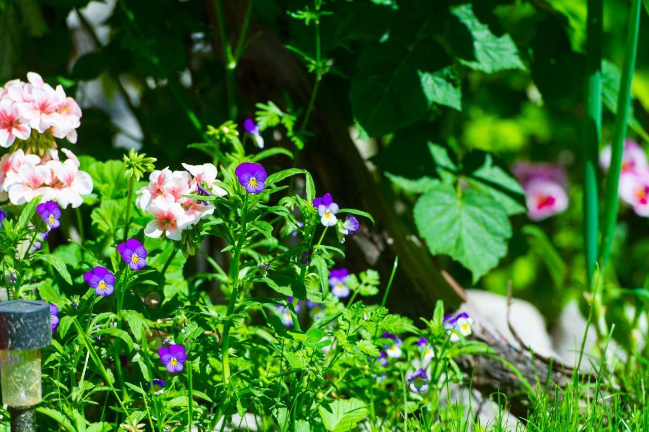 Grancharova Guest House Bansko Zewnętrze zdjęcie